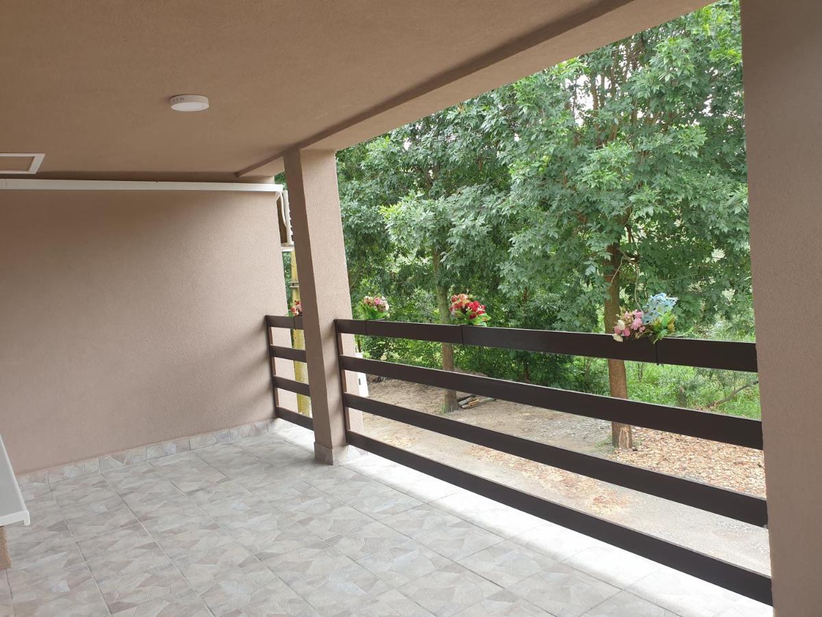 Vikendica Apartments Dunav Ms Celarevo Dış mekan fotoğraf