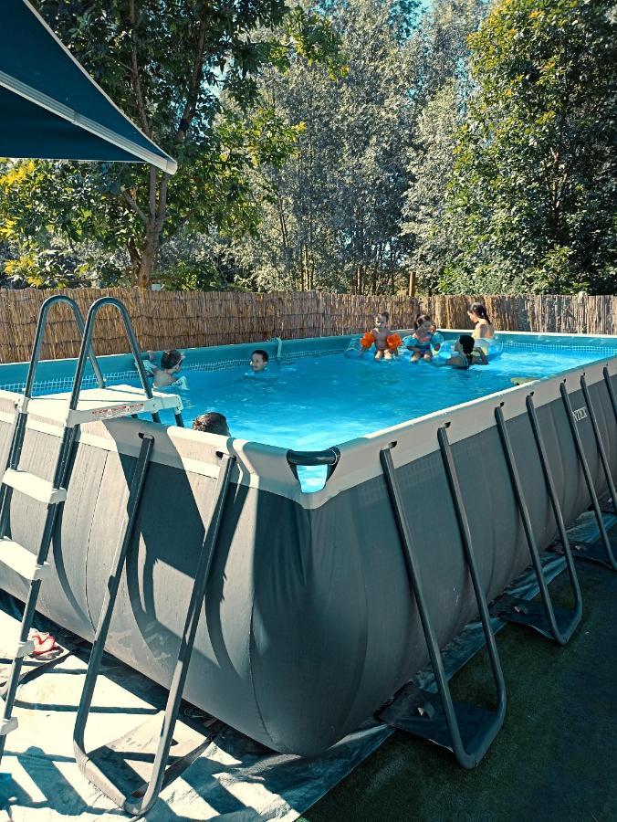 Vikendica Apartments Dunav Ms Celarevo Dış mekan fotoğraf