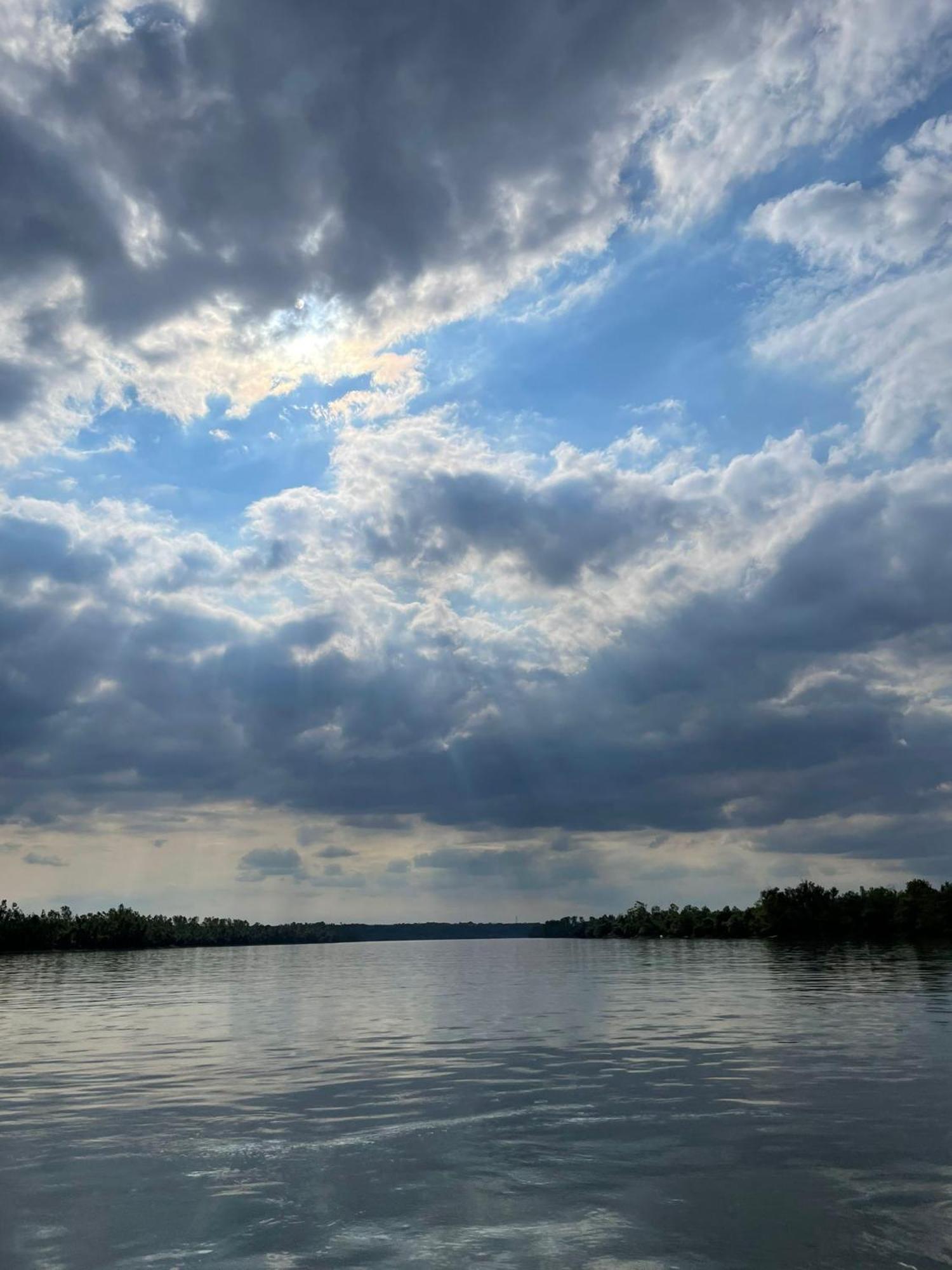 Vikendica Apartments Dunav Ms Celarevo Dış mekan fotoğraf